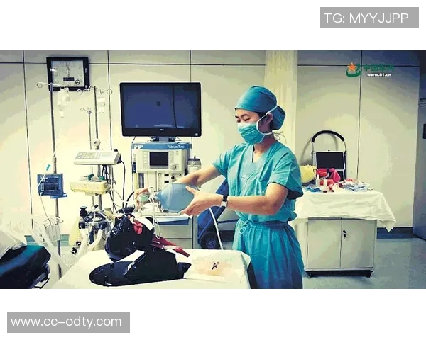 埃迪豪住院经历让他深刻认识医护人员的重要性与个人生活的真实变化